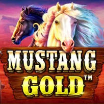 Mustang Gold 